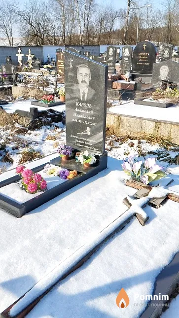 Кароль Анатолий Михайлович