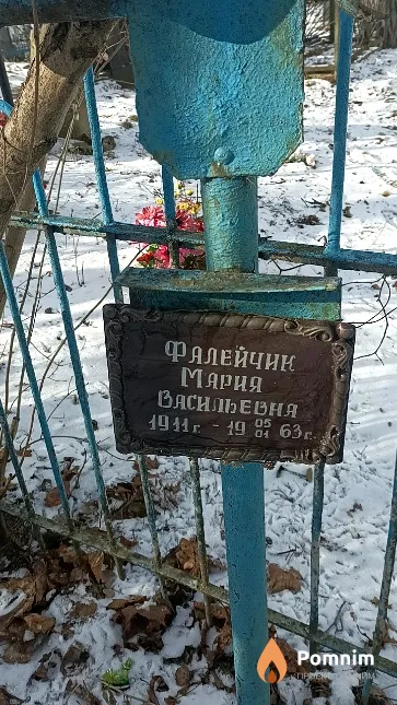 Фалейчик Мария Васильевня