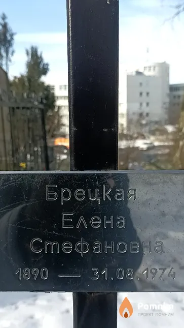 Брецкая Елена Стефановна