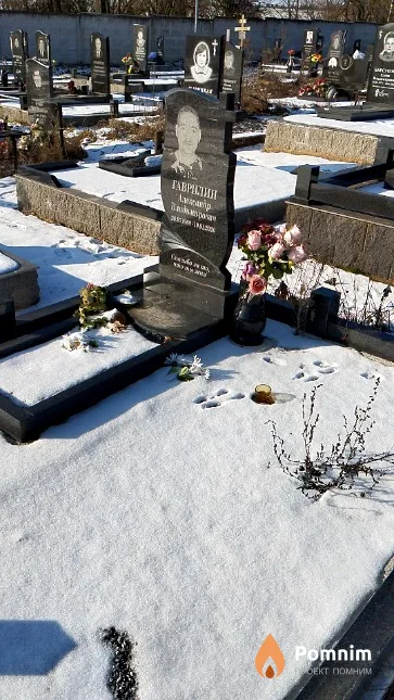 Гаврилин Александр Владимирович