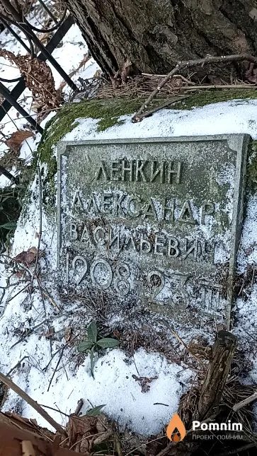 Ленкин Александр Васильевич