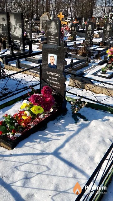 Мамонько Виктор Юльянович