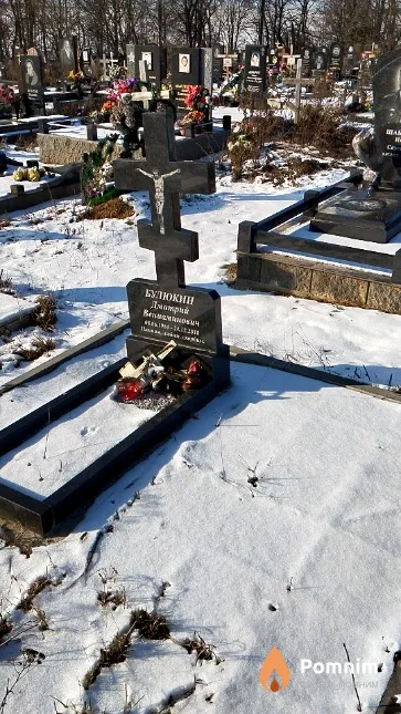 Булюкин Дмитрий Вениаминович