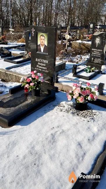 Ватутин Андрей Иванович