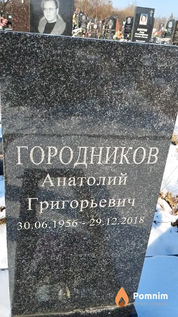 Городников Анатолий Григорьевич