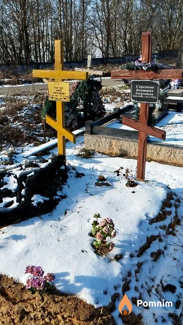 Сергеева Виктория Андреевна