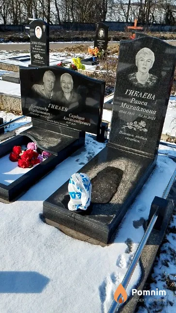 Гикаев Александр Сардионович