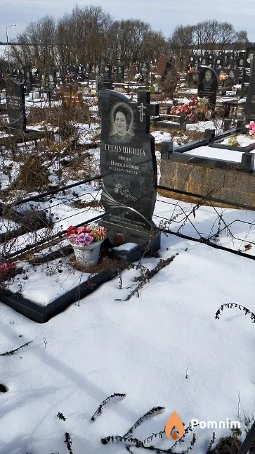 Гречушкина Нина Николаевна