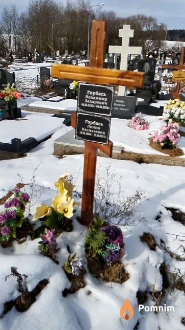 Горбась Владимир Захарович