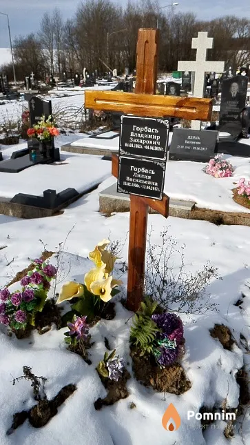 Горбась Лилия Васильевна