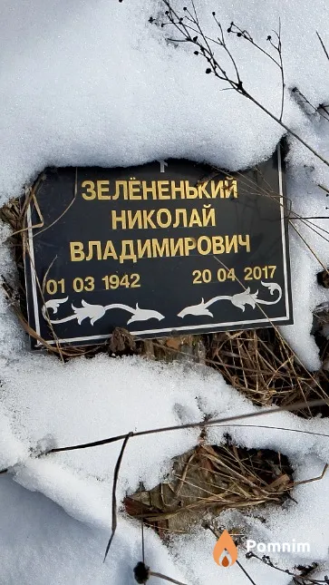 Зелёненький Николай Владимирович