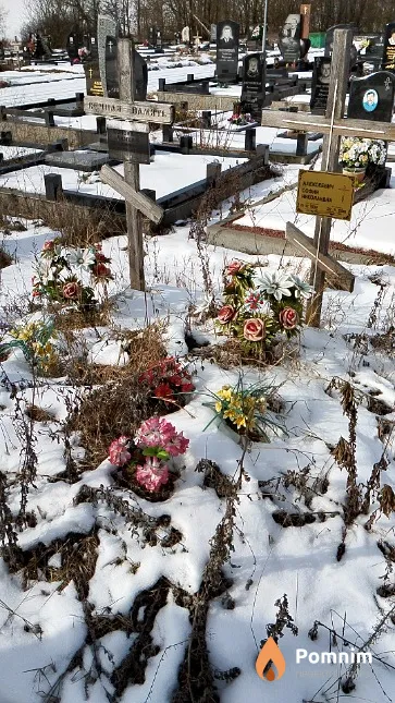 Алексеевич София Николаевна