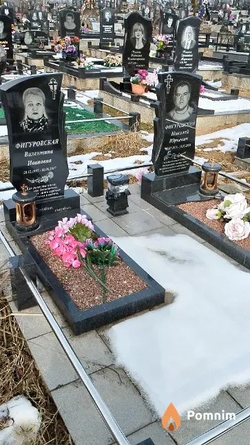 Фигуровский Николай Юрьевич