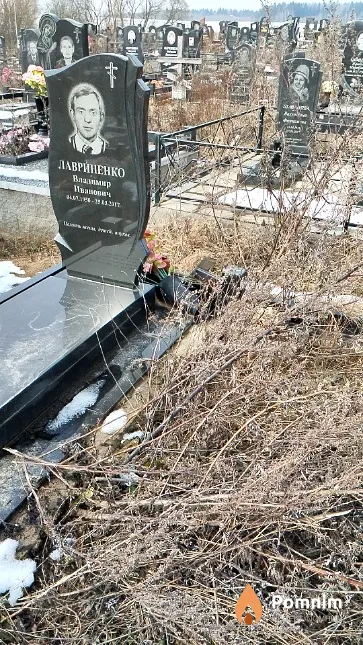 Лавриненко Владимир Иванович