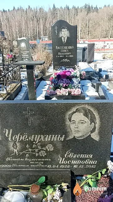 Черёмухина Евгения Иосифовна