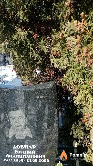 Довнар Евгений Фелицианович