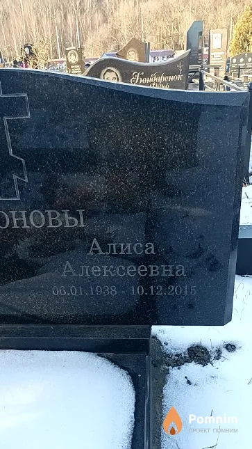 Антонова Алиса Алексеевна