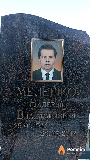 Мелешко Валерий Владимирович
