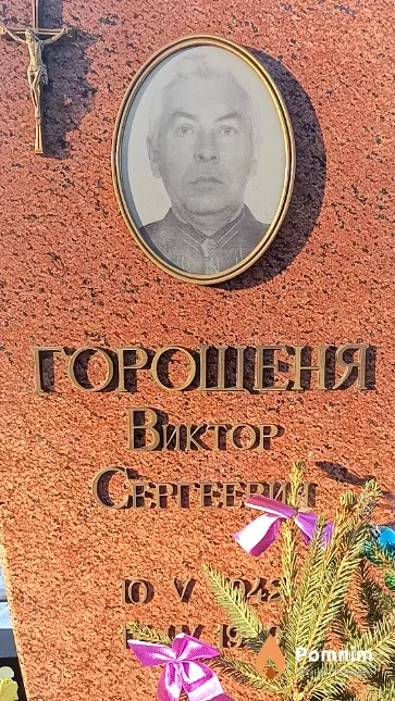 Горошеня Виктор Сергеевич