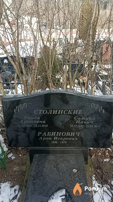 Столинская Раиса Ароновна