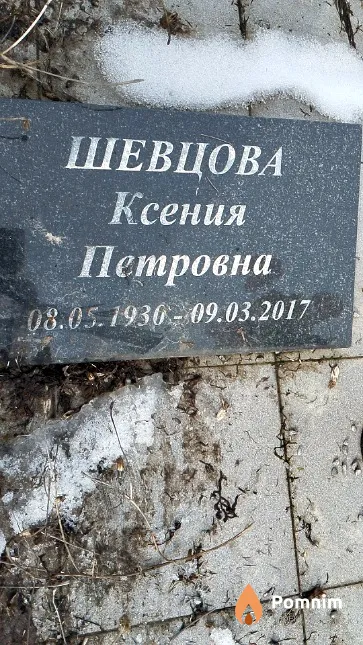 Шевцова Ксения Петровна