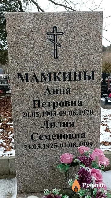 Мамкина Анна Петровна