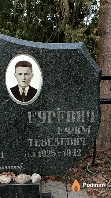 Гуревич Ефим Тевелевич
