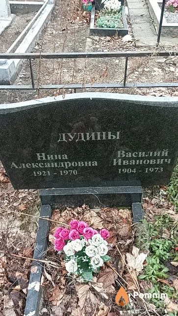 Дудина Нина Александровна