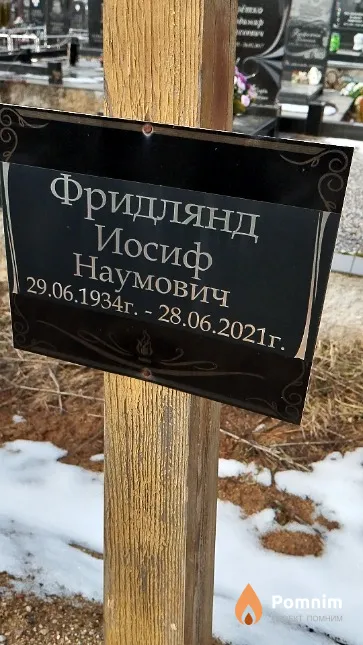 Фридлянд Иосиф Наумович