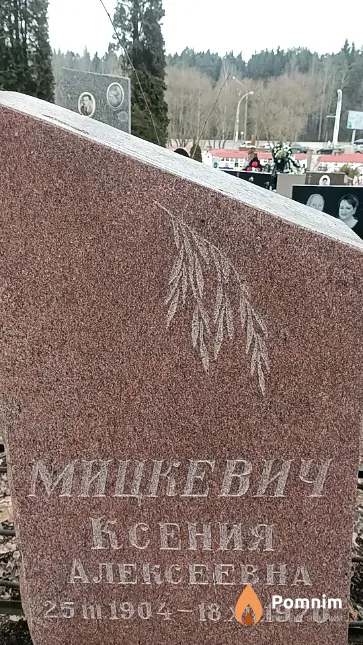 Мицкевич Ксения Алексеевна