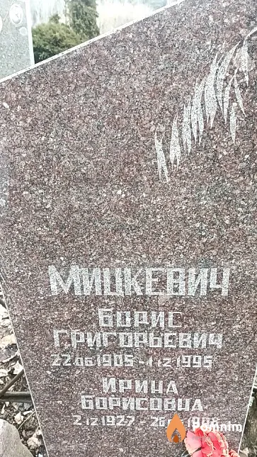 Мицкевич Борис Григорьевич