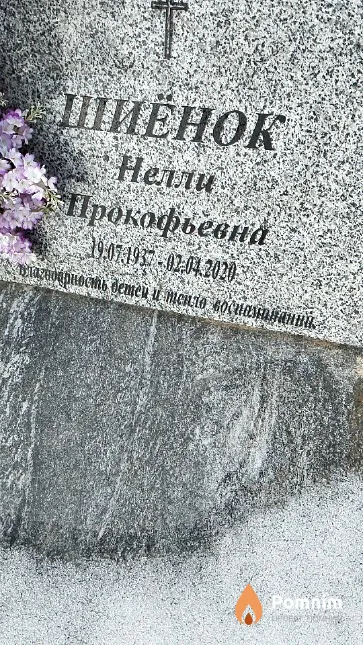 Шиёнок Нелли Прокофьевна