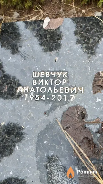 Шевчук Виктор Анатольевич