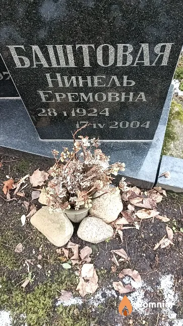 Баштовая Нинель Еремовна