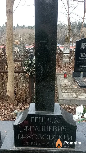 Бржозовский Генрих Францевич