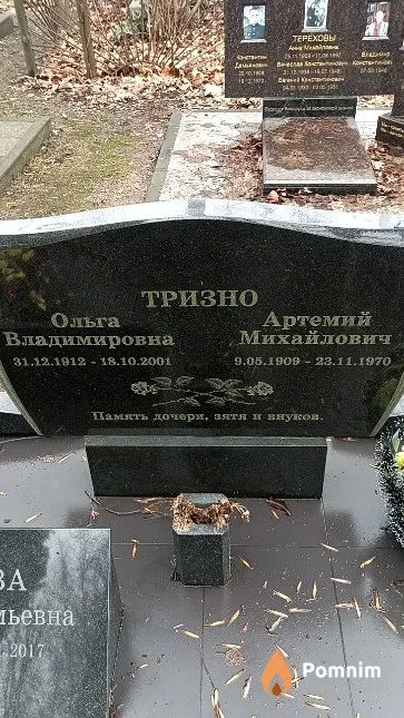 Тризно Ольга Владимировна