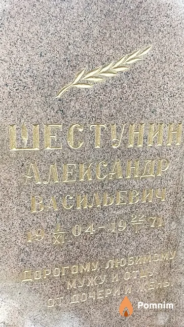 Шестунин Александр Васильевич