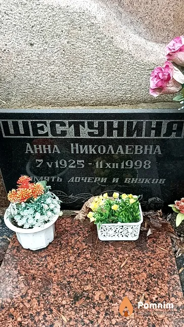 Шестунина Анна Николаевна