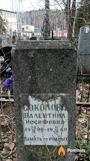 Соколова Валентина Иосифовна