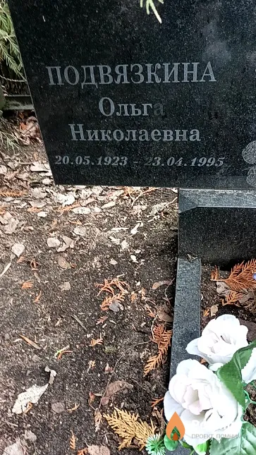 Подвязкина Ольга Николаевна