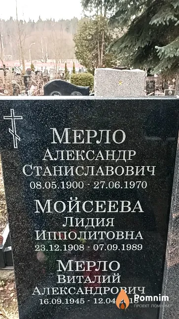 Мерло Александр Станиславович