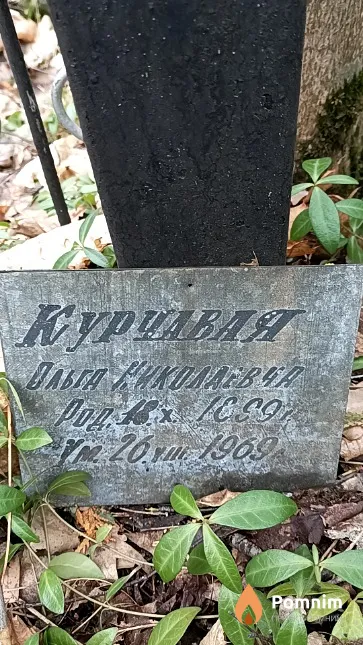 Курчавая Ольга Николаевна