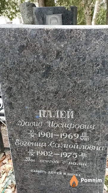 Палей Евгения Самойловна