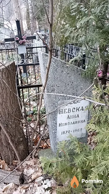Невская Анна Николаевна