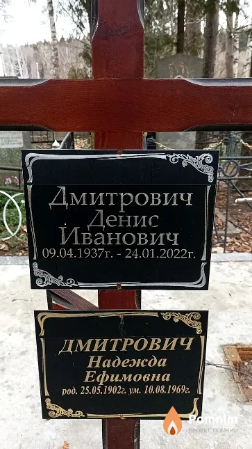 Дмитрович Надежда Ефимовна