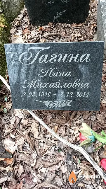 Гагина Нина Михайловна
