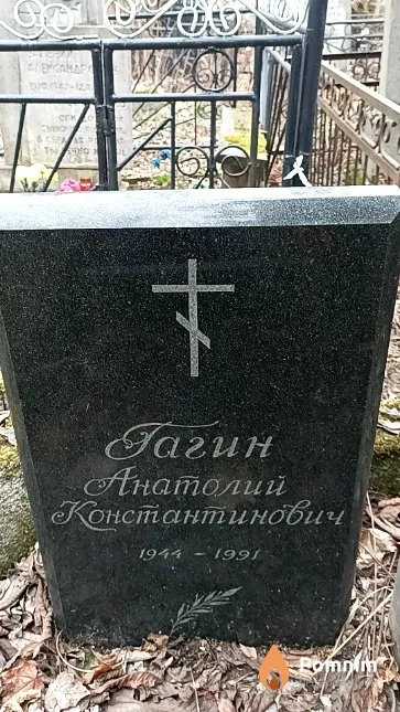 Гагин Анатолий Константинович