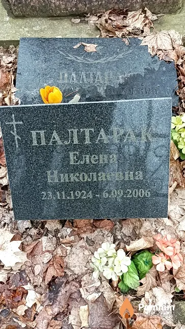 Палтарак Елена Николаевна