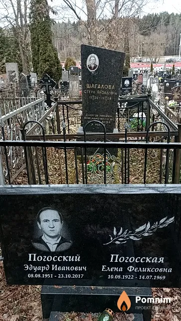 Погосская Елена Феликсовна