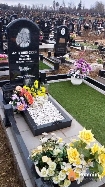 Лапушинский Виктор Иванович